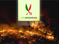 http://www.jornalorebate.com.br/144/amazonia.jpg