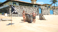 http://www.jornalorebate.com.br/108/piratas-ab-0803.gif