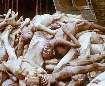 http://www.jornalorebate.com.br/118/Holocaust1239.JPG