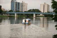 http://www.jornalorebate.com.br/120/Chalana2.JPG