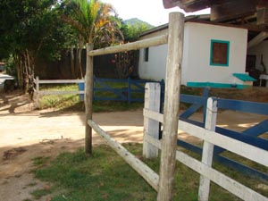 http://www.jornalorebate.com.br/207/Academia1.jpg