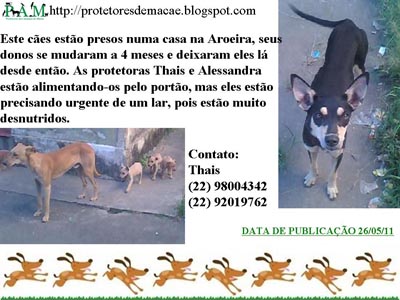 http://www.jornalorebate.com.br/286/caes.jpg