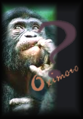 http://www.jornalorebate.com.br/338/lucy_novo.jpg