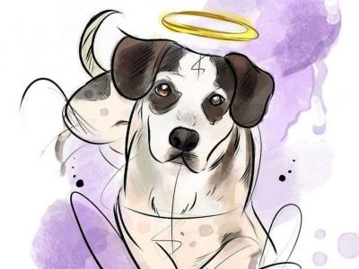 Respeito ao direito dos animais precisa ser difundido nas empresas