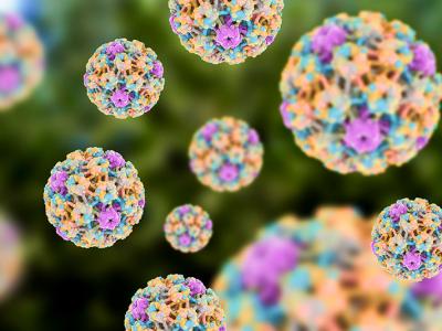 Hoje em dia todo mundo tem HPV?