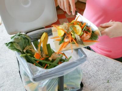 Bioplástico compostável é alternativa sustentável para produtos descartáveis